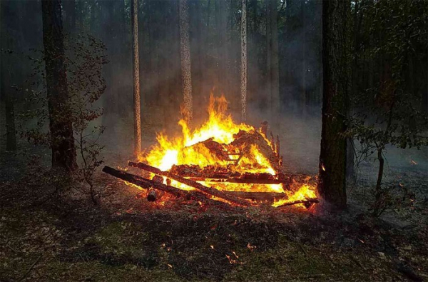Požár lesa zřejmě založil žhář